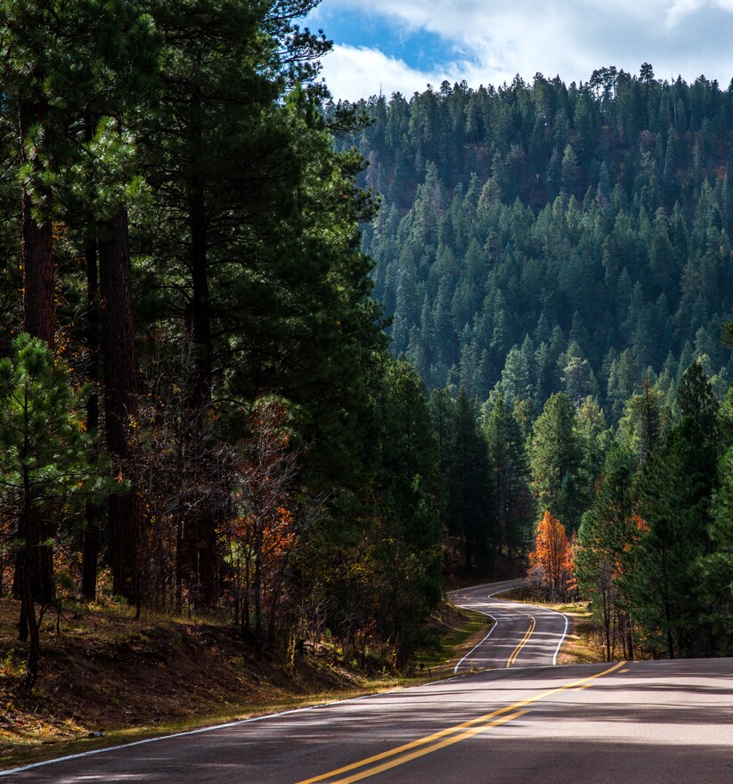 Dear Shareholder.jpg